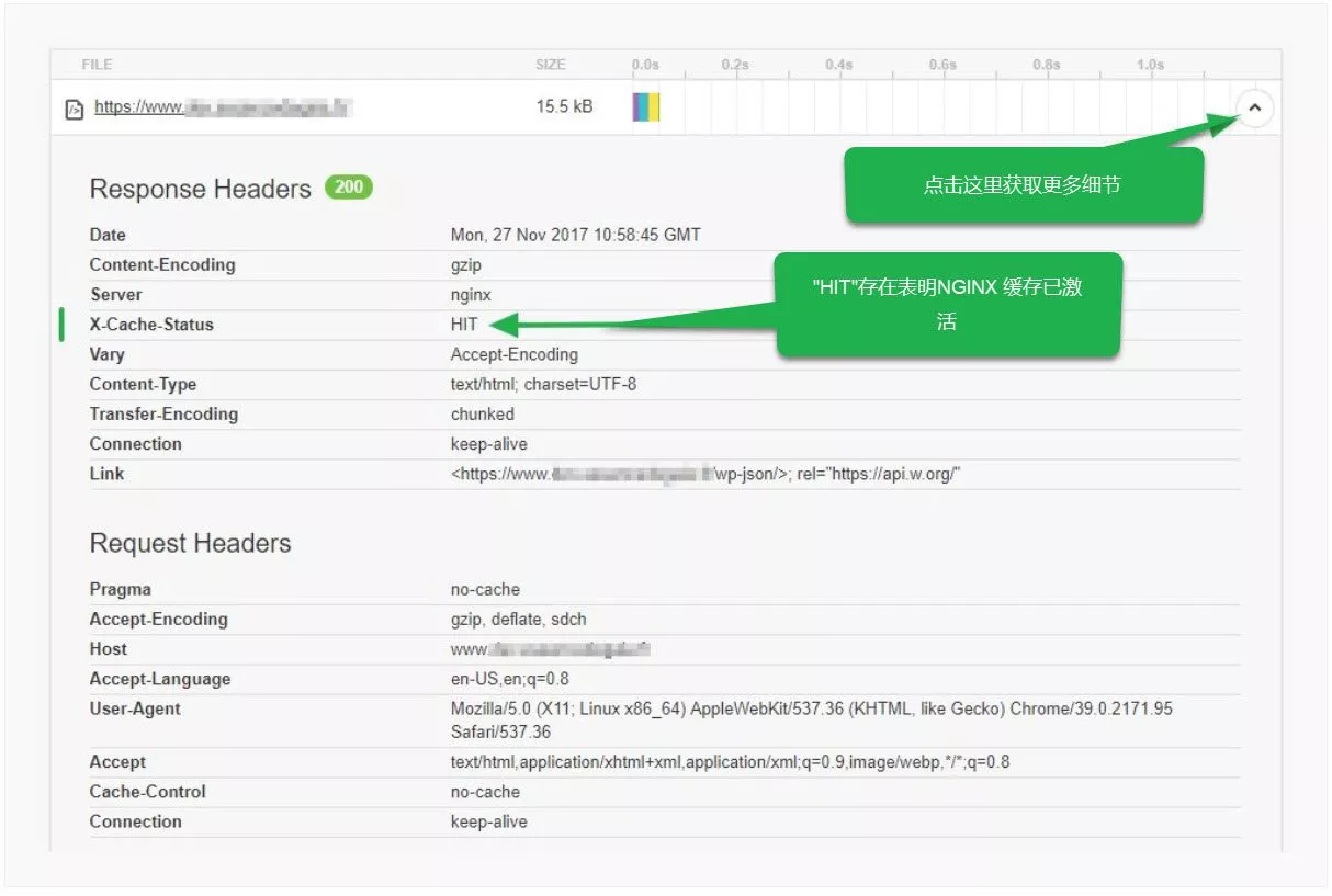 使用NGINX缓存优化您的WordPress插图1 使用NGINX缓存优化您的WordPress插图1